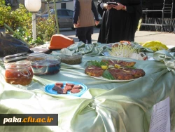 جشنواره غذا92-1