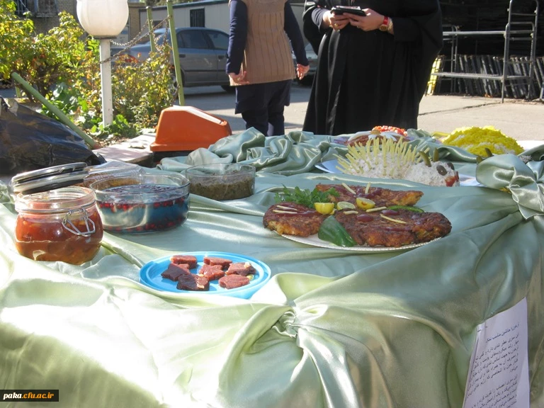 جشنواره غذا92-1