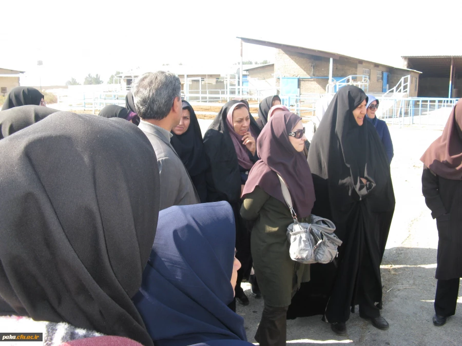 بازدید رشته حرفه توسط استاد جناب آقای دکتر خلیق "مدرس دامپروری"