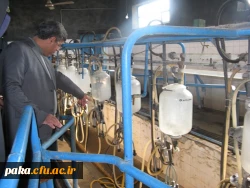 دامپروری92-3