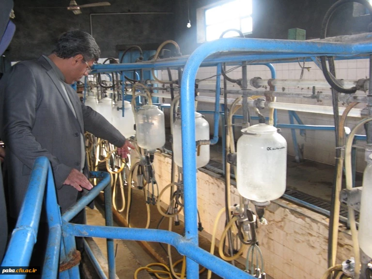 دامپروری92-3