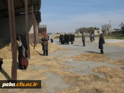 دامپروری92-4