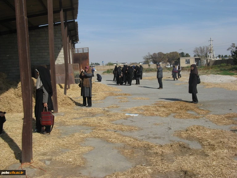 دامپروری92-4