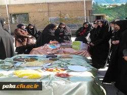 جشنواره غذا4