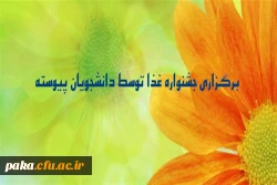 جشنواره غذا1