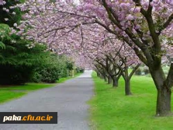 پیام تبریک دکتر عطایی سرپرست محترم پردیس ، به مناسبت آغاز سال1393 2