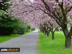 پیام تبریک دکتر عطایی سرپرست محترم پردیس امیر کبیرالبرز، به مناسبت آغاز سال1394