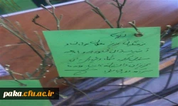 حضور پردیس امیرکبیر استان البرز به عنوان نماینده داشگاه فرهنگیان در پنجمین جشنواره ملی کانون های فرهنگی، هنری و اجتماعی رویش دانشگاههای سراسر کشور (19 لغایت 22 اردیبهشت 94- دانشگاه شیراز ) 7