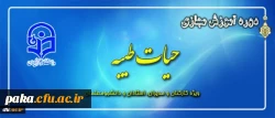 برگزاری جشنواره های آموزش مجازی ویژه کارکنان و مدیران-استادان-دانشجویان 2