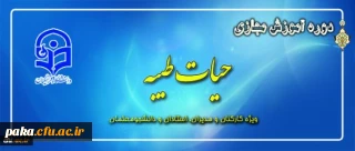 برگزاری جشنواره های آموزش مجازی ویژه کارکنان و مدیران-استادان-دانشجویان