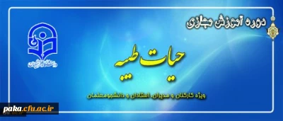 برگزاری جشنواره های آموزش مجازی ویژه کارکنان و مدیران-استادان-دانشجویان