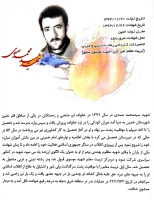 شهدای پردیس 11