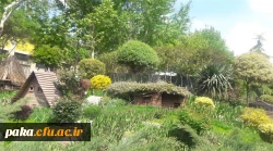 بازدید انجمن علمی دانشجومعلمان رشته زیست شناسی از باغ گلهای لاله 7