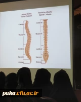 هفته تربیت بدنی 2