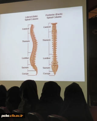 هفته تربیت بدنی