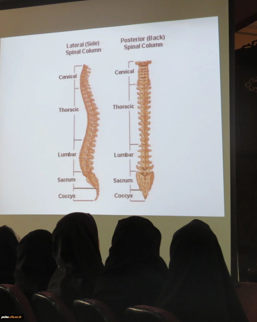 هفته تربیت بدنی 2