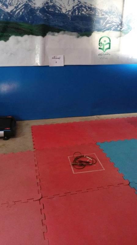 هفته تربیت بدنی 8