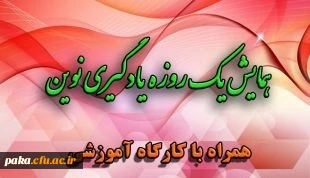 282846_3692580890_310_247