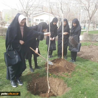 روز درختکاری