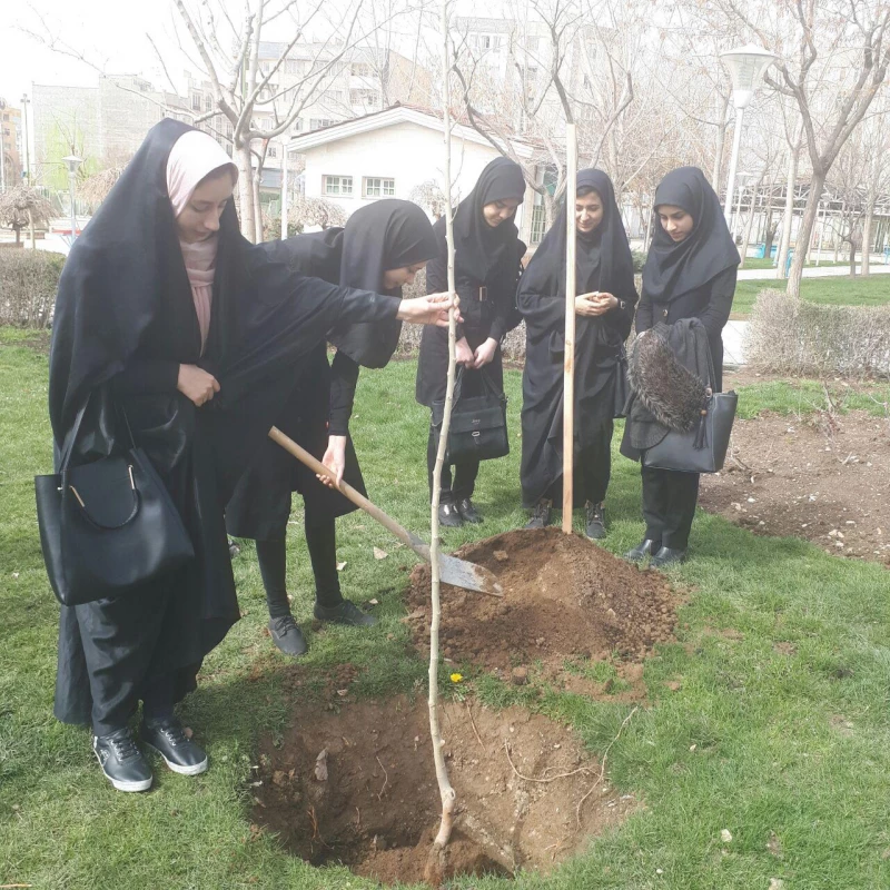 روز درختکاری 2