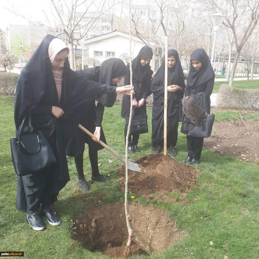 روز درختکاری 2