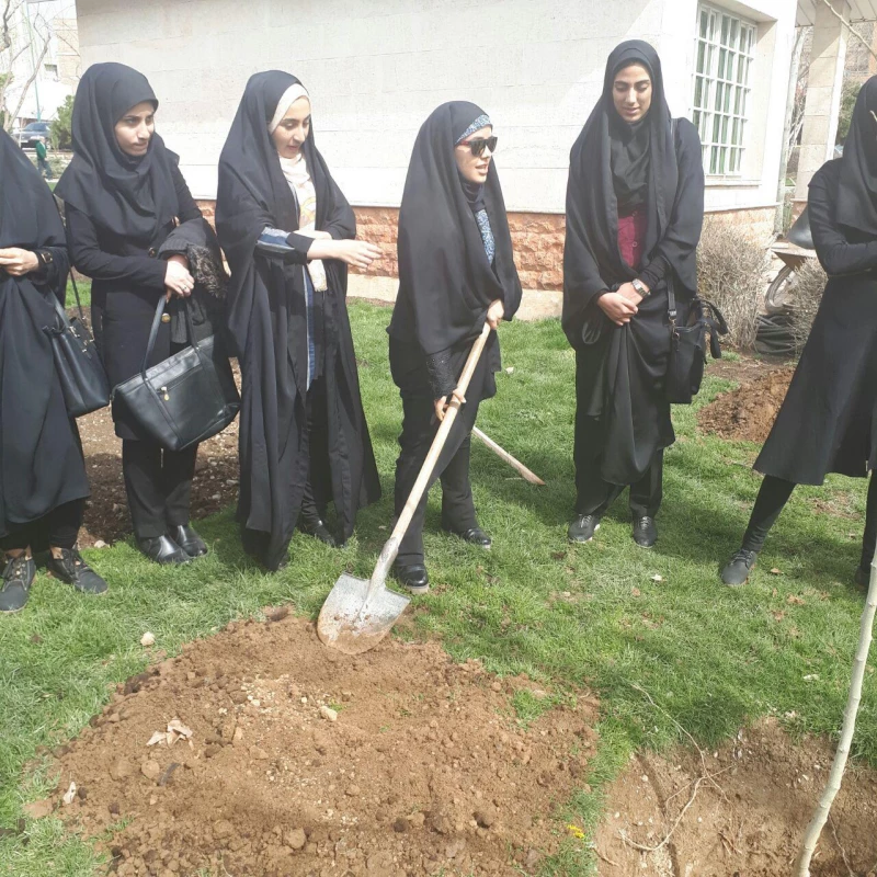 روز درختکاری 3