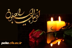 تسلیت
سرکار خانم شهین عبدالمالکی 2