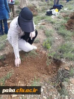 گیاه شناسی 2