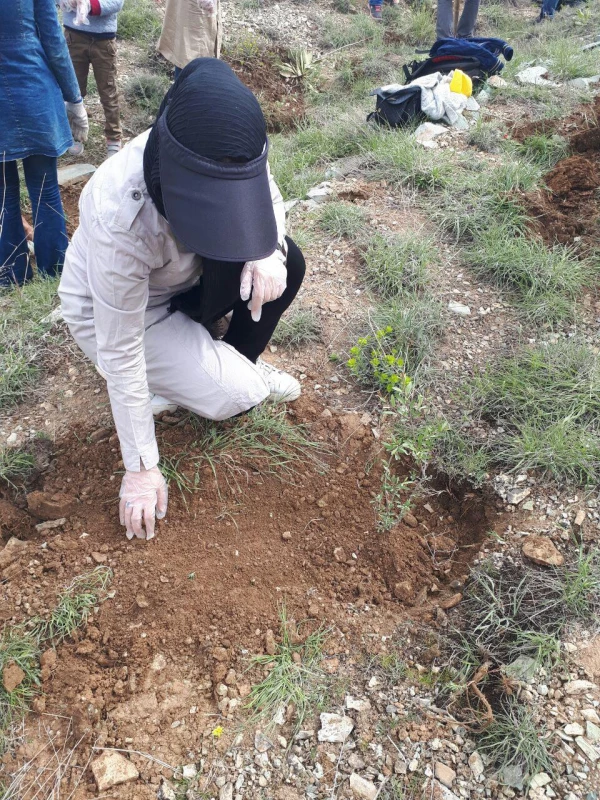 گیاه شناسی 2