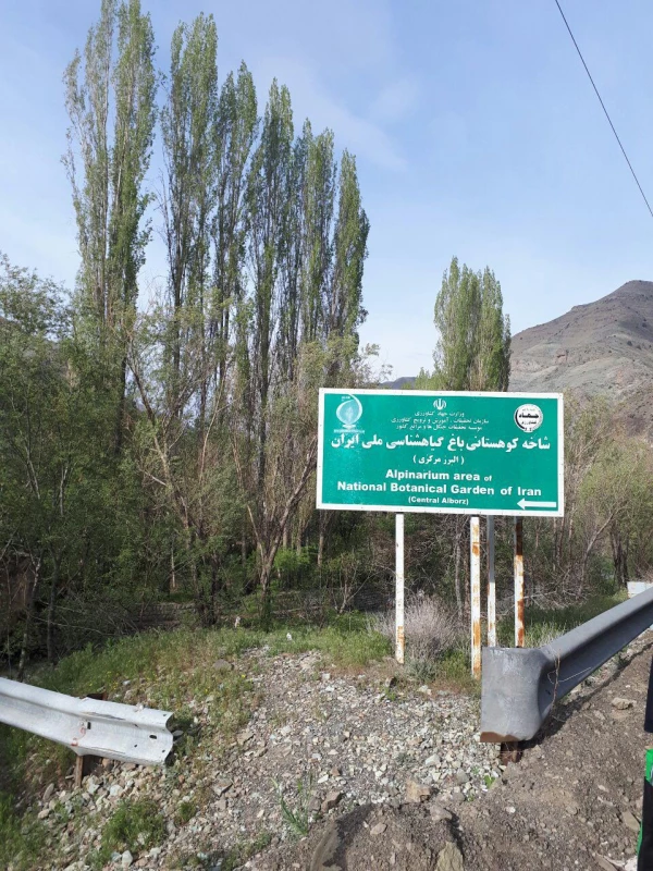 گیاه شناسی 3