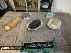 مراسم سوگواری و قرائت زیارت عاشورا 2