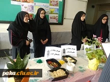 جشنواره جهانی غذای سالم