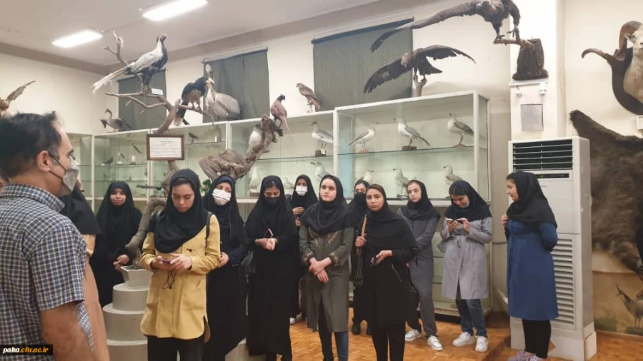 برگزاری بازدید علمی دانشجومعلمان آموزش ابتدایی ۹۸ 3