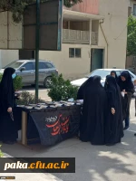 برگزاری مراسم عزاداری حضرت ابا عبدالله الحسین (ع) 4